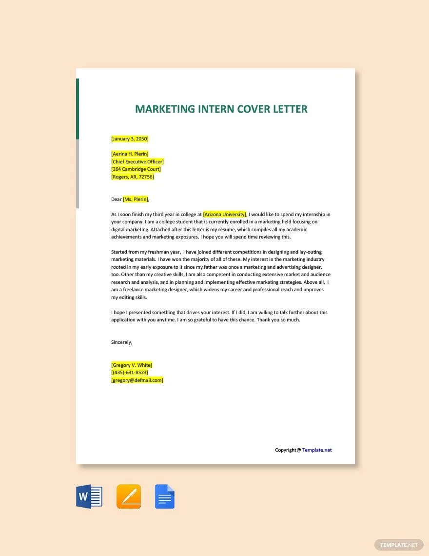 41449 marketing intern experience